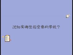 沈陽(yáng)招空乘的學(xué)校有哪些？