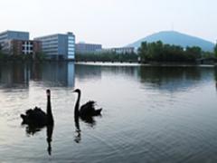 安徽有哪些培養(yǎng)空乘的學(xué)校？