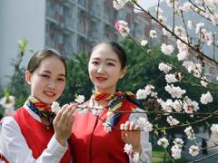 春秋航空國(guó)內(nèi)首推微信訂機(jī)票服務(wù) 4月可微信值機(jī)