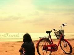 空乘專業(yè)分?jǐn)?shù)線高嗎？空乘專業(yè)要求高考多少分？