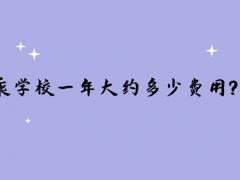 讀空乘學(xué)校一年大約多少費(fèi)用？