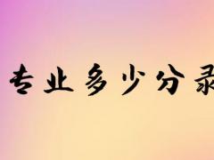 空乘專業(yè)多少分錄??？