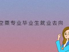 空乘畢業(yè)生可以去高鐵上班嗎？