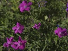 北京第二外國(guó)語(yǔ)學(xué)院國(guó)際教育學(xué)院空乘專業(yè)職業(yè)教育好嗎？招不招初中生？