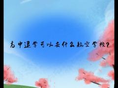 高中退學(xué)可以去什么航空學(xué)校？